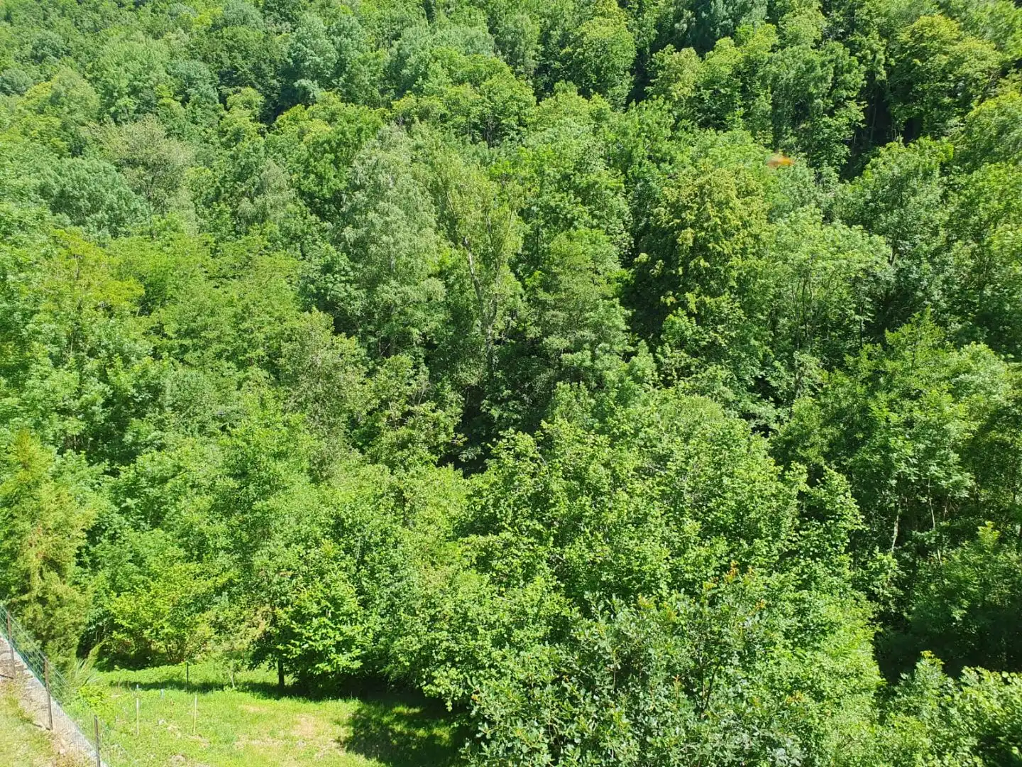 Landhaus mit Garten zum Verkauf in C-38 1, imagen 11