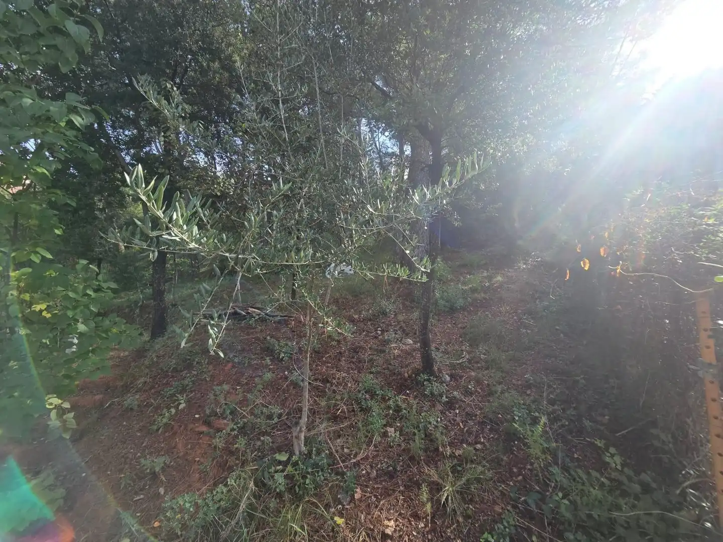 Lands and plots for sale in Airesol, imagen 11