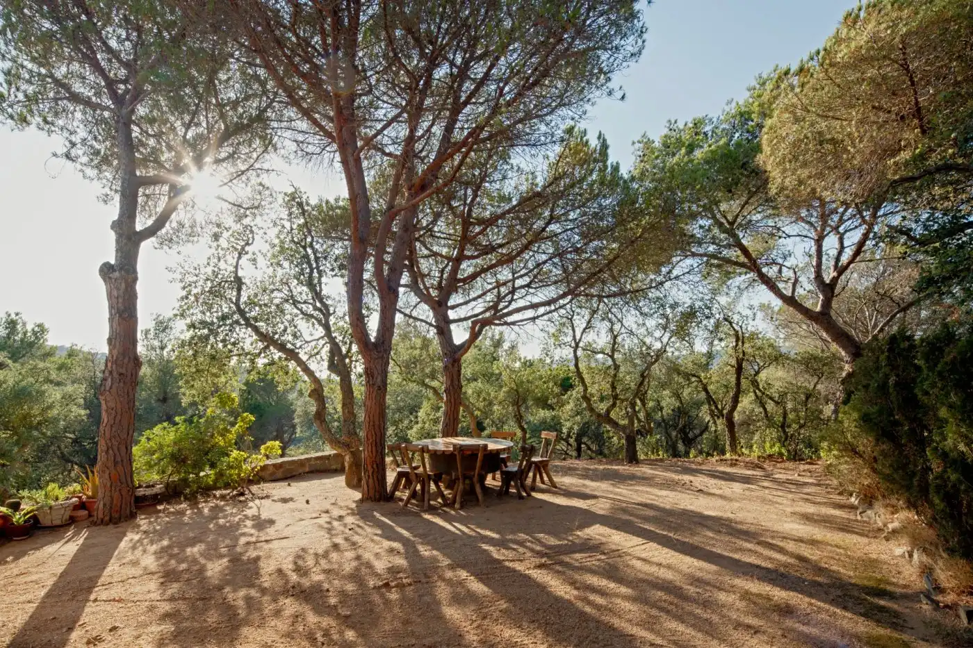 Jardín de Casa o chalet en venta en Castell d'Aro, Platja d'Aro i s'Agaró con Aire acondicionado, Jardín privado y Piscina