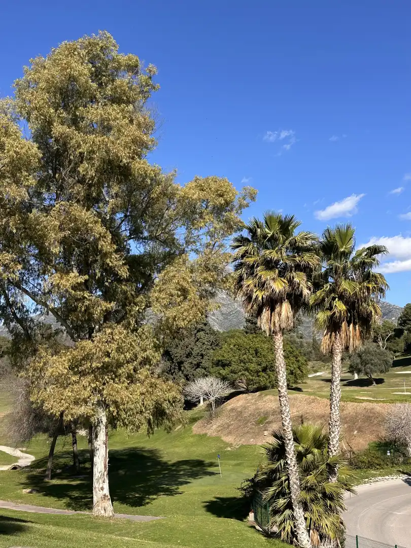 Adossat amb terrassa en venda a Nueva Andalucía, imagen 2