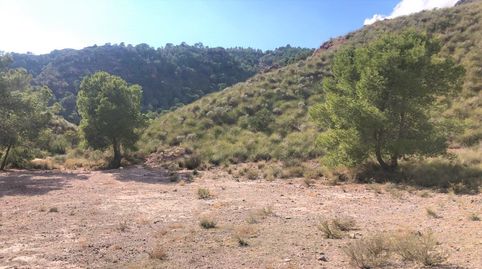 Photo 4 of Land for sale in Lorca, La Hoya, Lorca