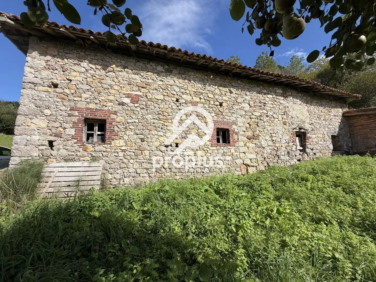 Vista exterior de Casa o chalet en venta en Ribadesella con Jardín privado