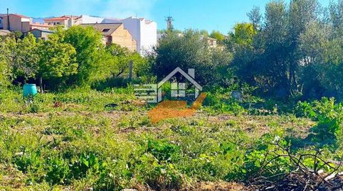 Terreno Rústico en venta en VélezRubio., immagine 5