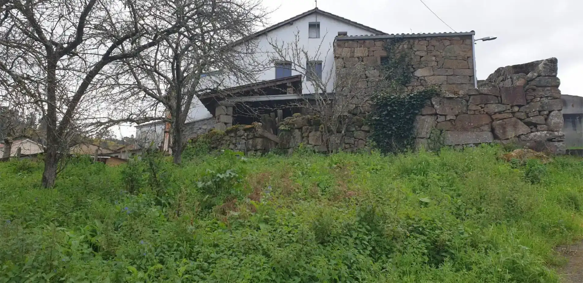 Vista exterior de Finca rústica en venda en Ourense Capital  amb Jardí privat, Traster i Moblat