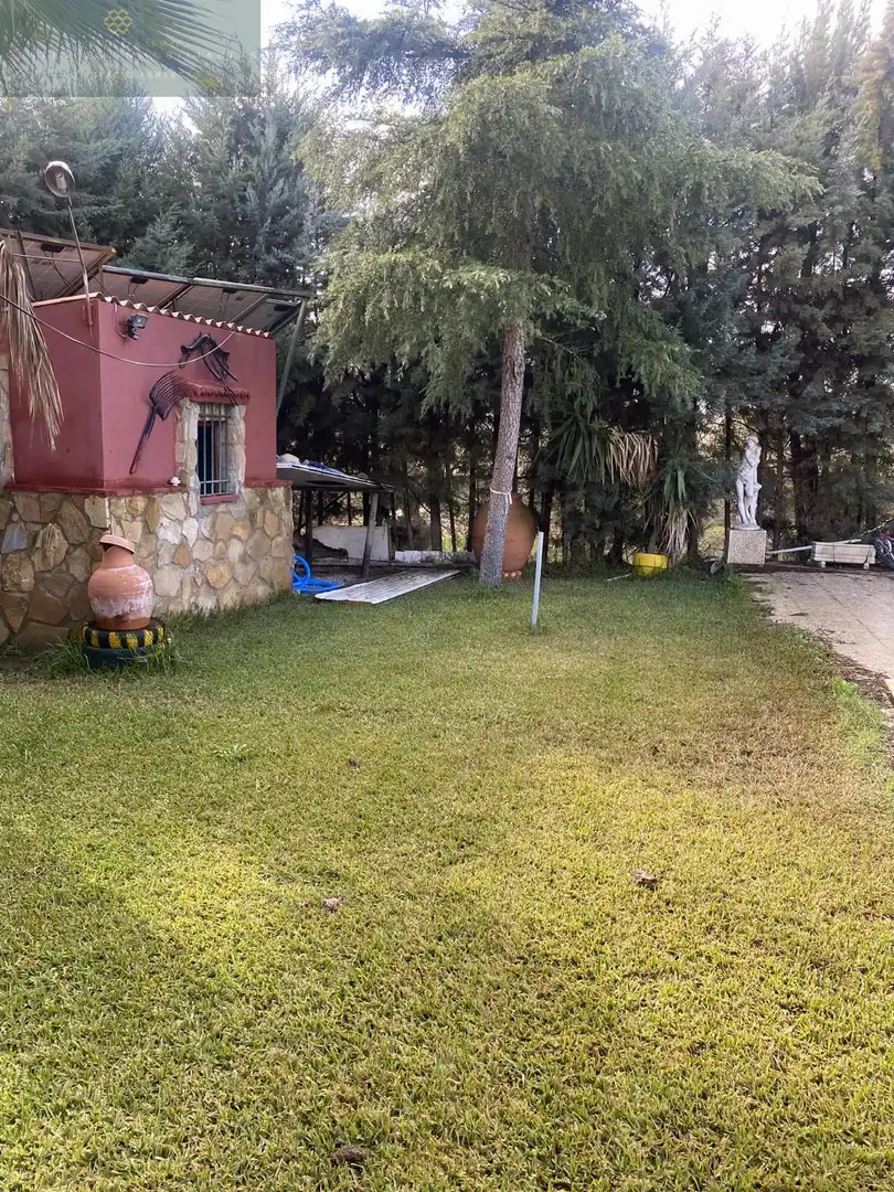 Garden of Houses for sale in Mérida  with Air Conditioner and Swimming Pool
