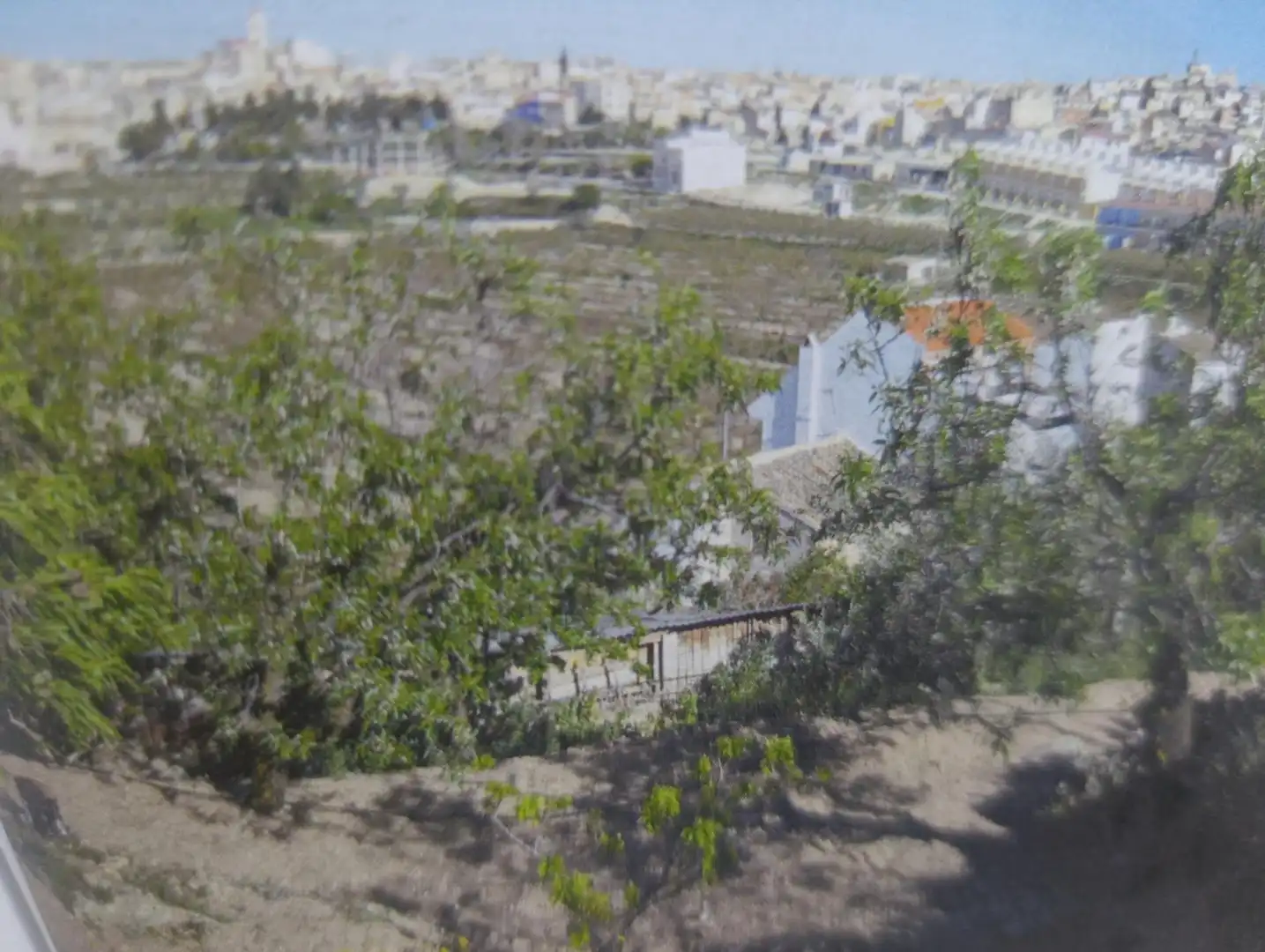 Residential land for sale in Avenida CEHEGIN, imagen 2