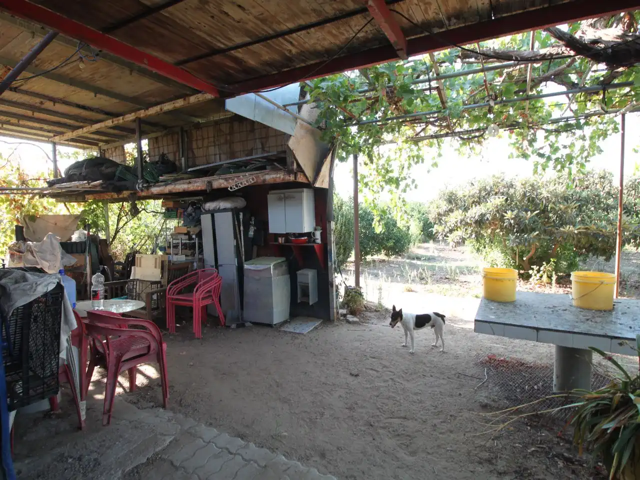 Terreno rustico in vendita a Calle Poniente 13, imagen 36