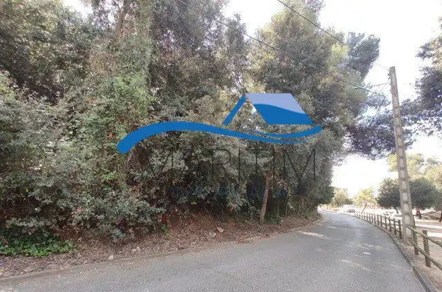 Lands and plots for sale in Romani, imagen 10