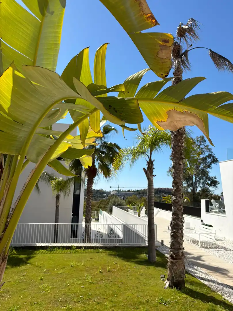 Exterior view of Ground floor for rent in Marbella  with Air Conditioner, Heating and Terrace