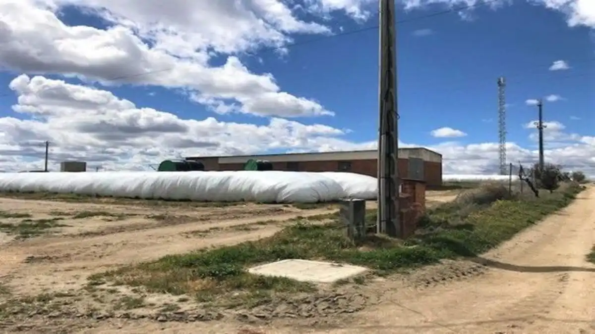 Exterior view of Industrial buildings for sale in Fuente el Sol