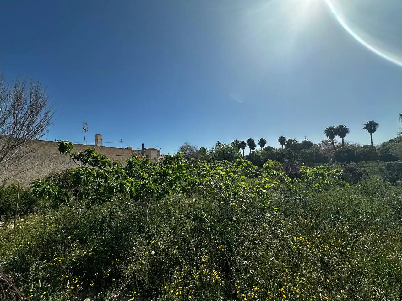 Terreny residencial en venda a Avenida de Almoradí 11, imagen 5