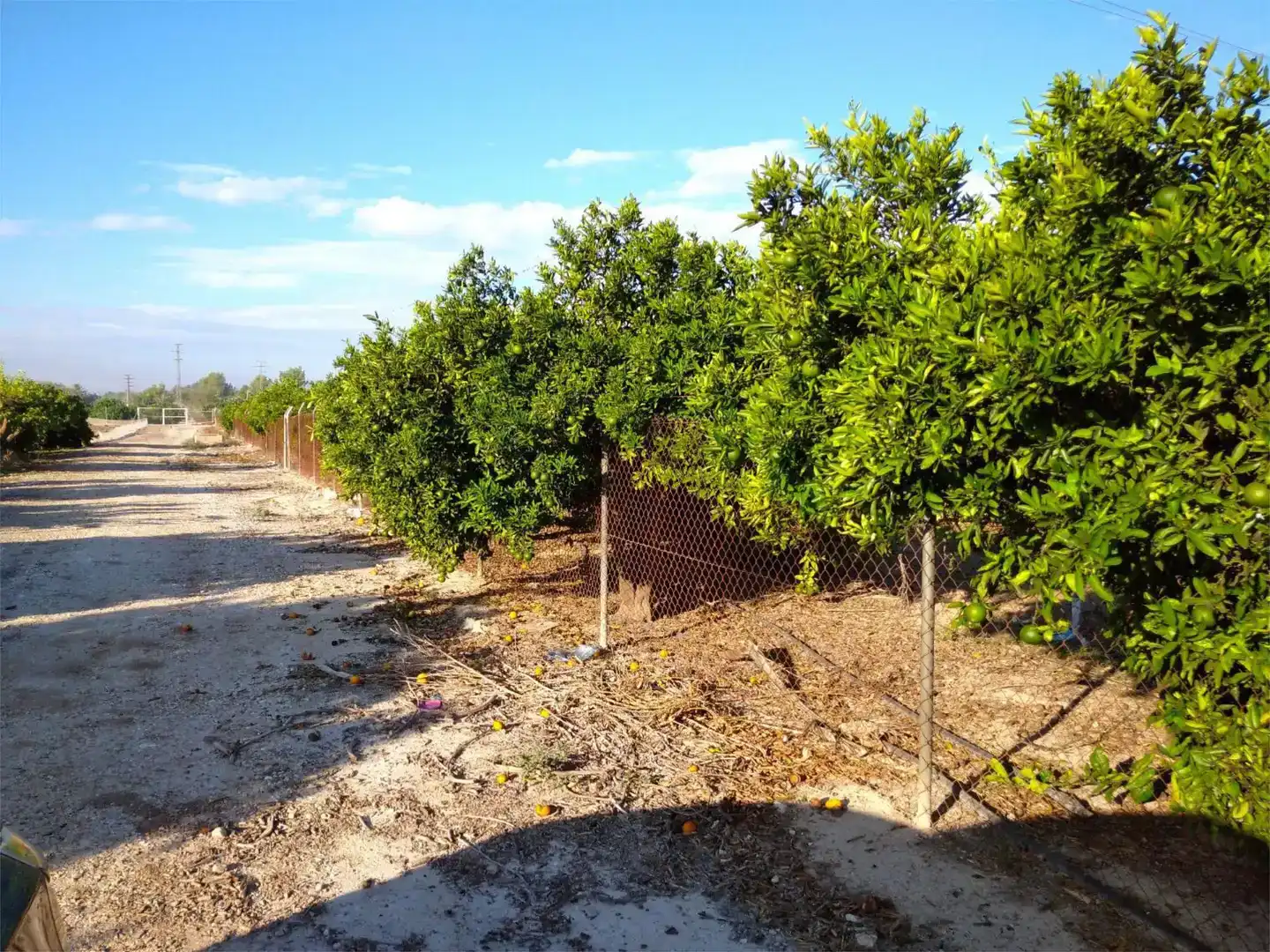 Land for sale in Benejúzar