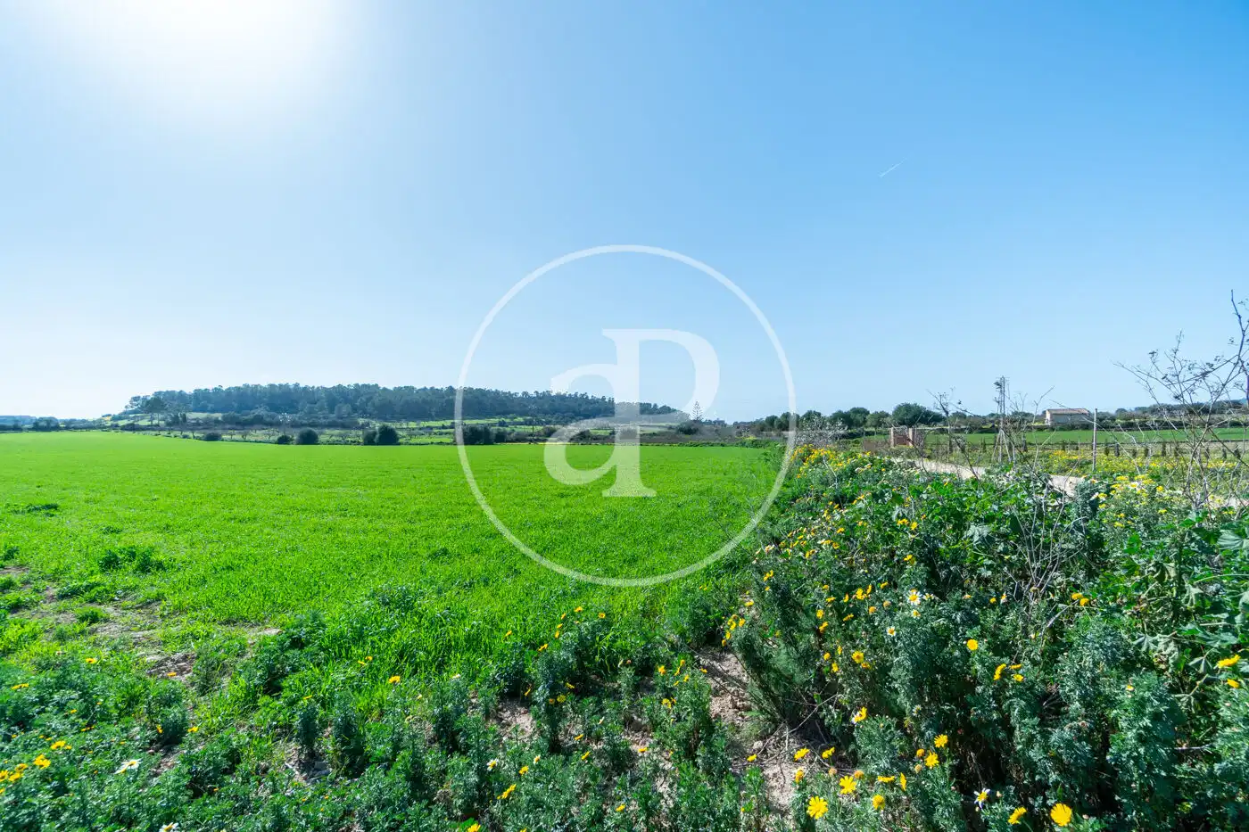 Residential for sale in Porreres