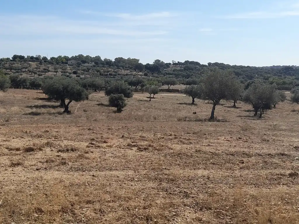 Casa o xalet en venda en San Vicente de Alcántara