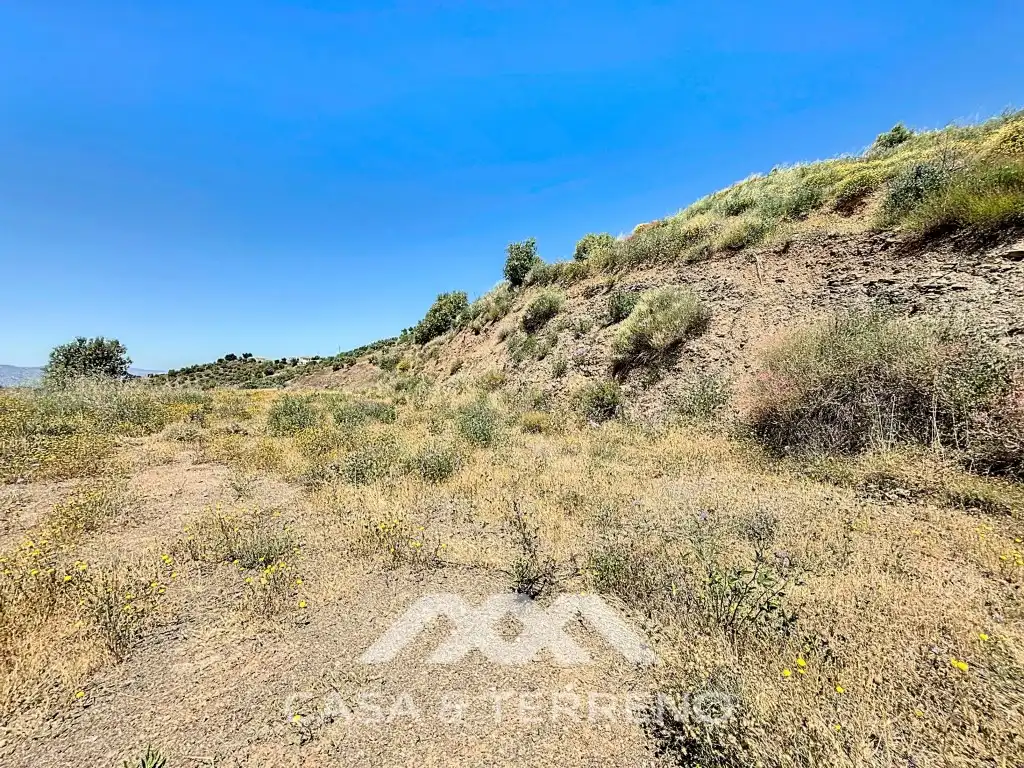 Land for sale in Canillas de Albaida
