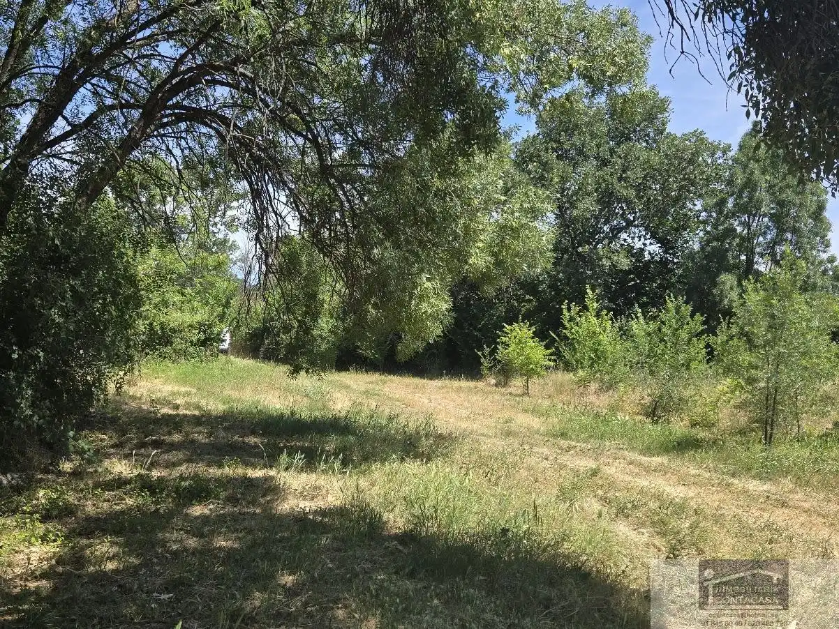 Finca rústica en venta en La Moraleja