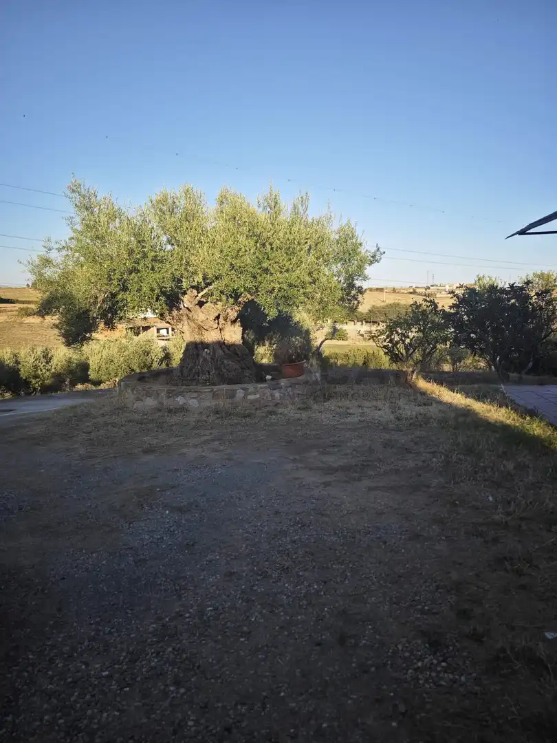 Casa rustica con piscina in vendita a CAN TURULL, imagen 49