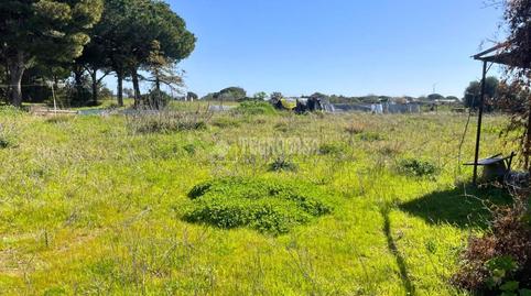 Foto 4 de Terreny en venda a Pelagatos - Pago del Humo, Chiclana de la Frontera