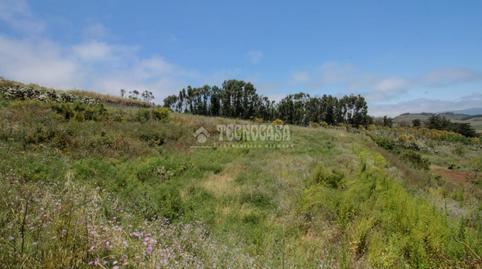 Photo 2 of Land for sale in El Chorrillo - San Isidro  - Llano Blanco, El Rosario