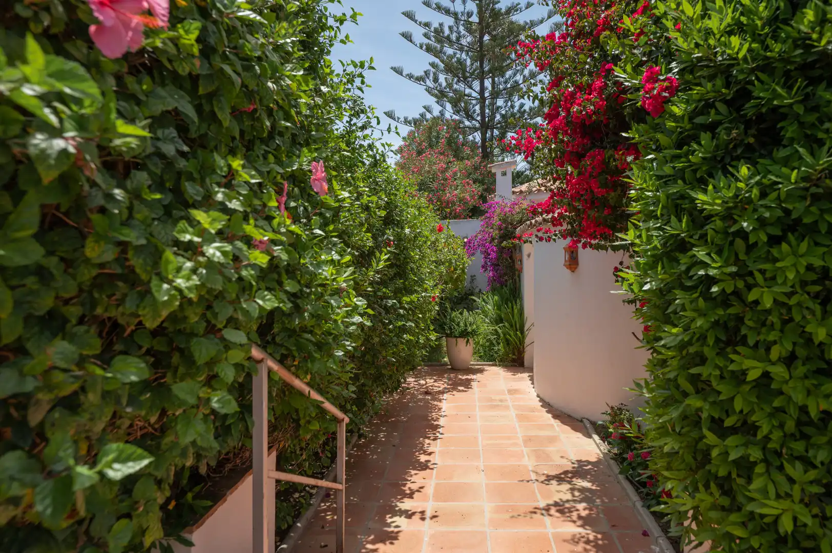 Casa amb piscina en venda a San Pedro de Alcántara, imagen 37