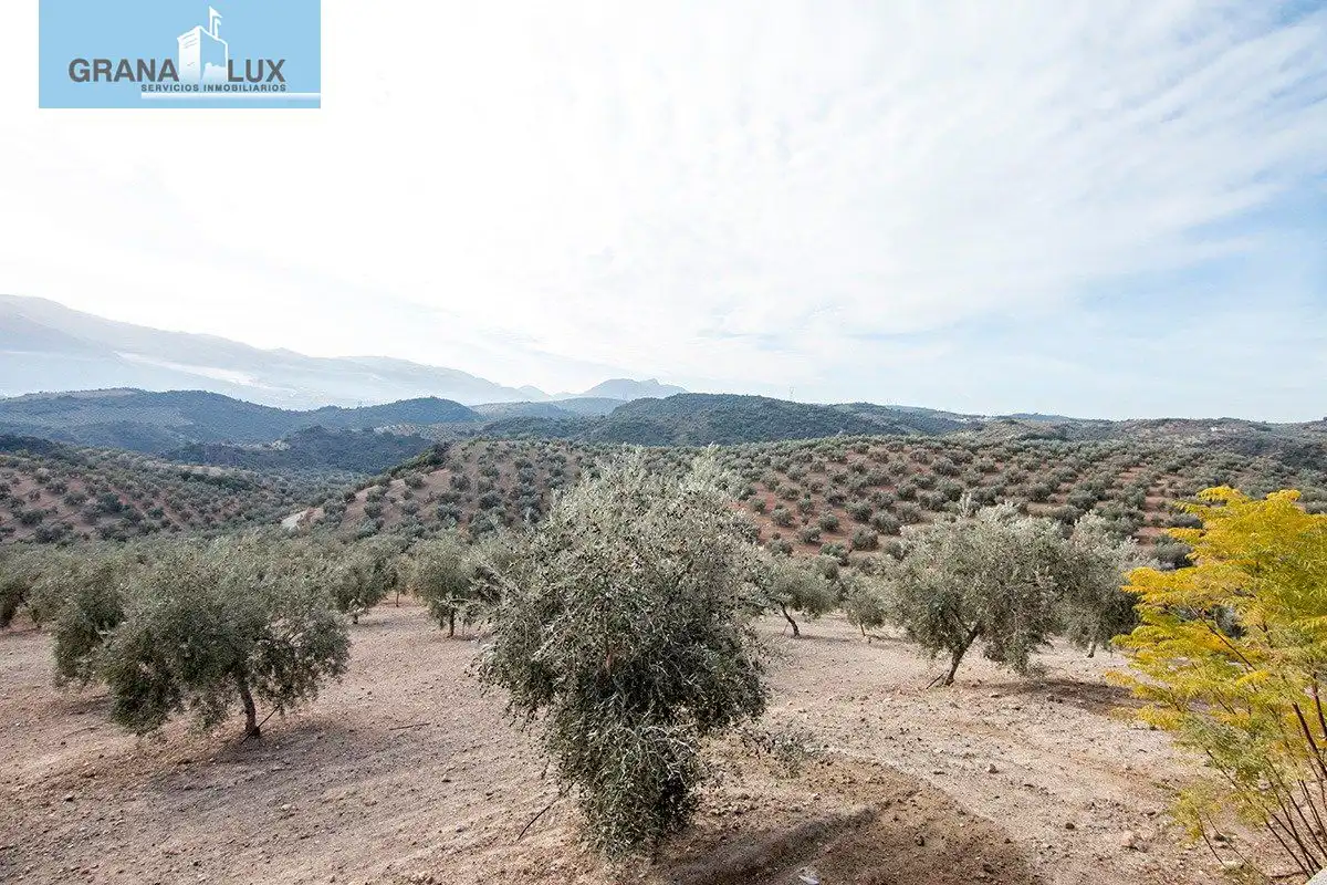 Country homes for sale in Loja