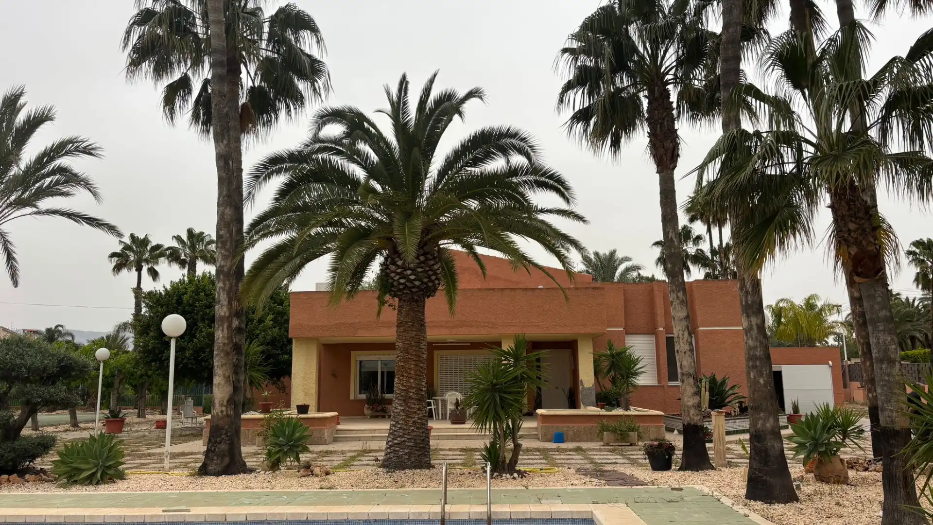 Vista exterior de Casa o xalet en venda en Elche / Elx amb Jardí privat, Terrassa i Piscina