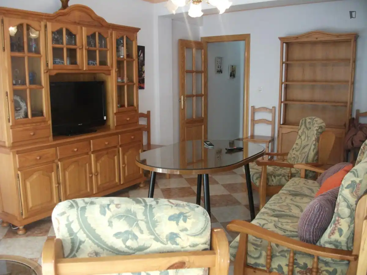Sala d'estar de Apartament per a compartir en Granada amb Moblat, Forn i Rentadora