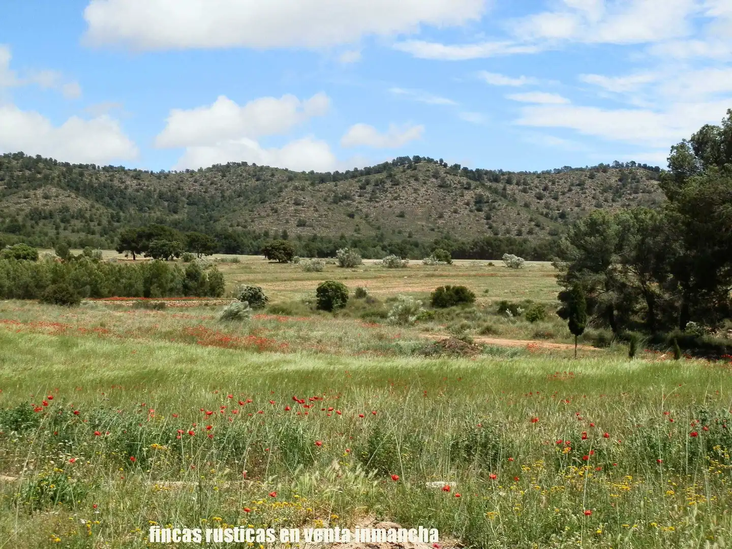 Terreni e lotti in vendita a Elche de la Sierra, imagen 11