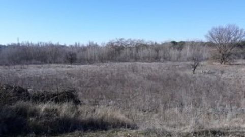 Parcela Rustica en Tudela de Duero, imagen 5