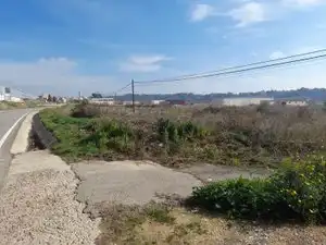 Rural land for sale in Vallmoll, imagen 5