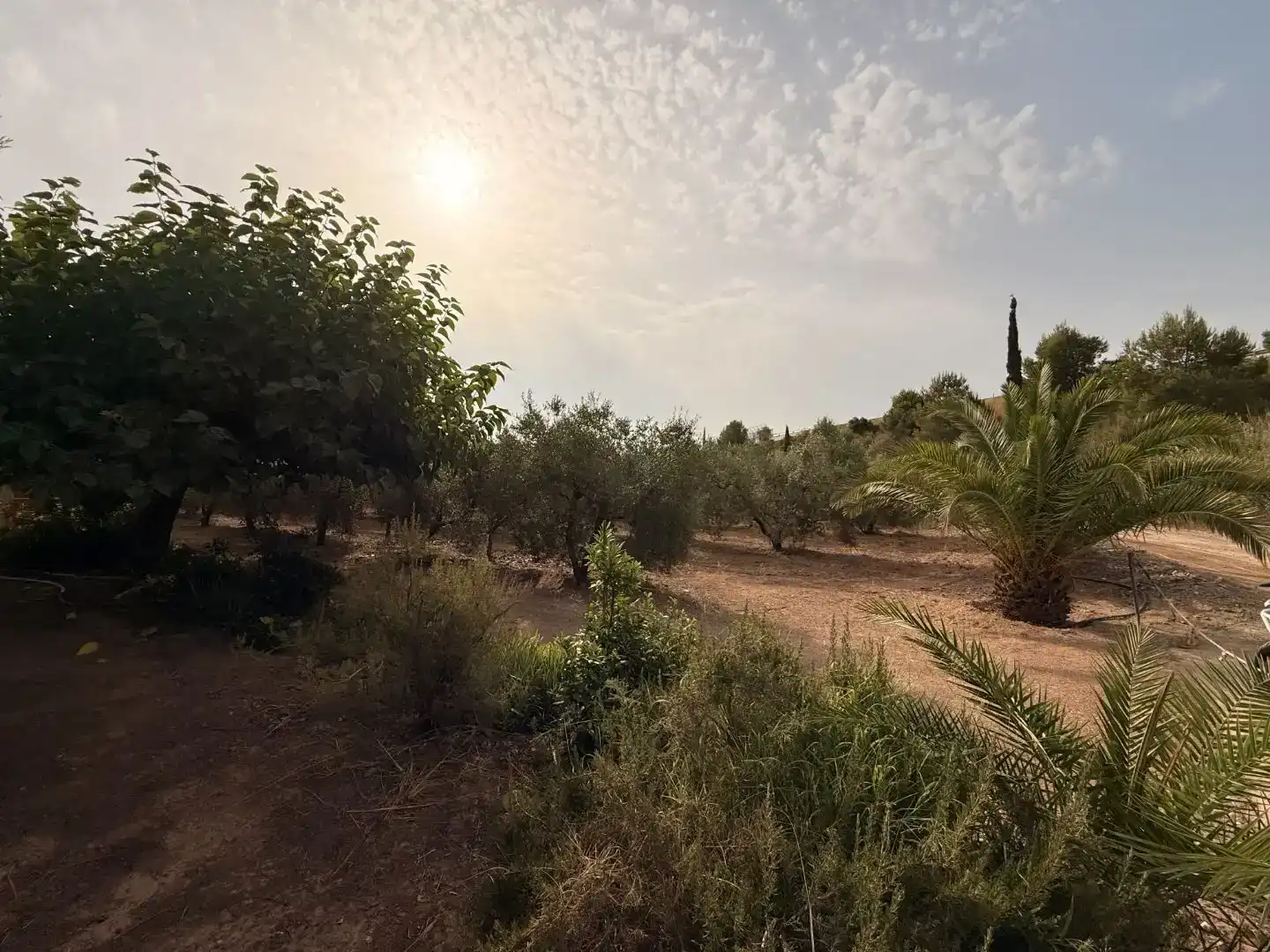 Finca rústica en venda en Vinyols i els Arcs amb Moblat