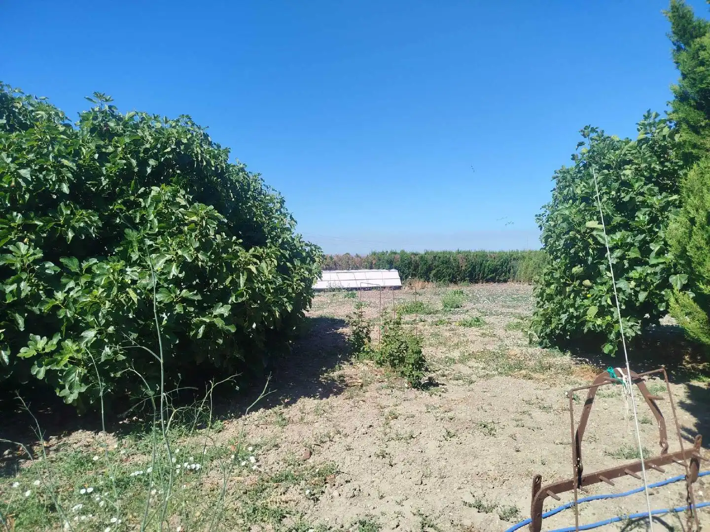 Houses for sale in Rota