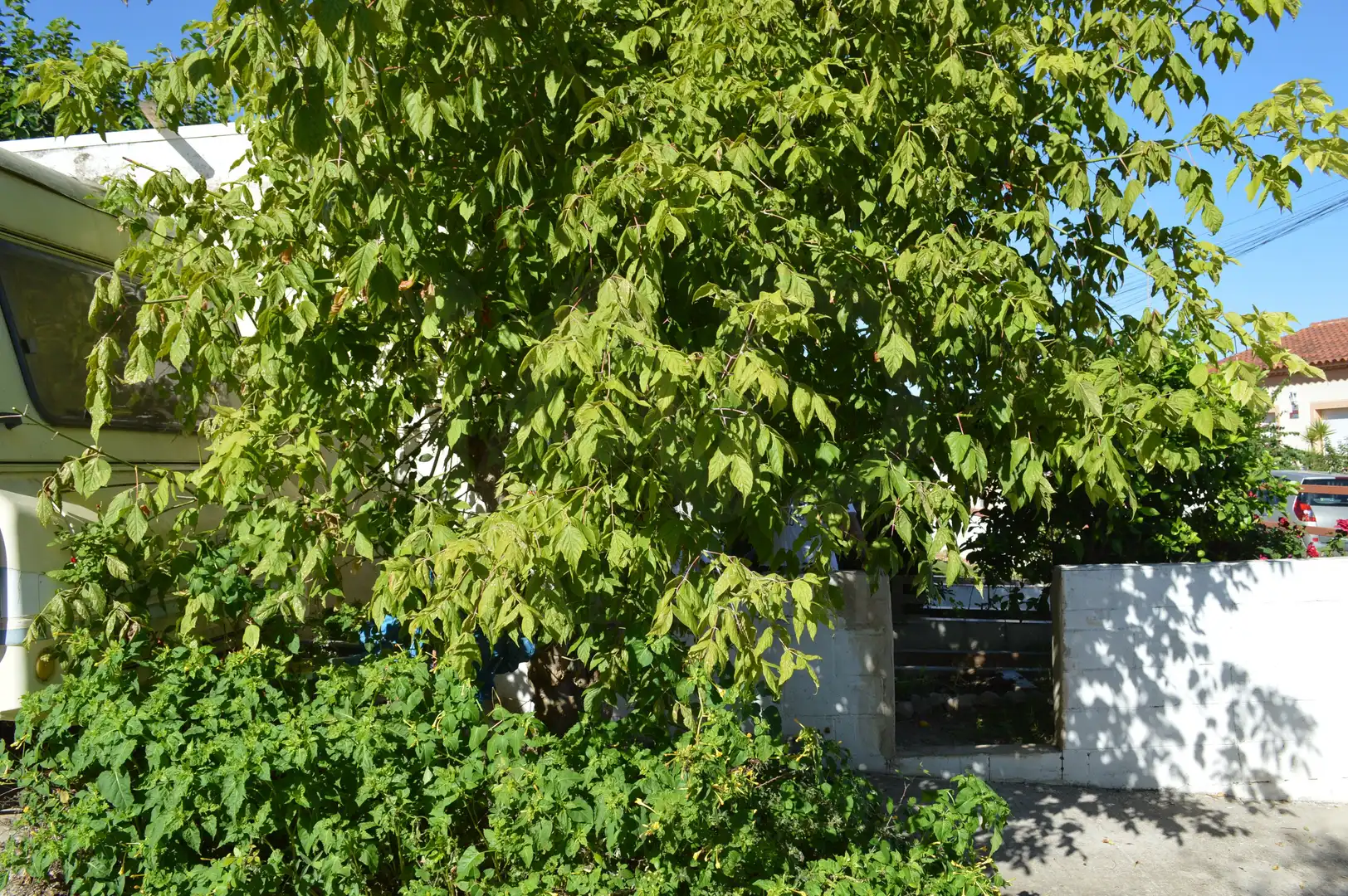 Flat for sale in Albinyana, imagen 33
