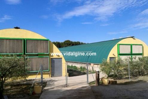 Nave industrial en Venta en Cami de Lleida en La Sentiu de Sió