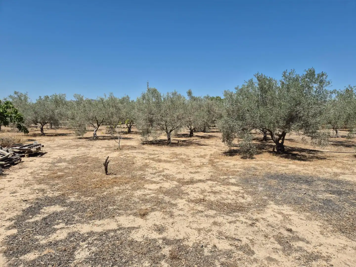 Casa o chalet en venta en Aspe con Calefacción, Terraza y Balcón