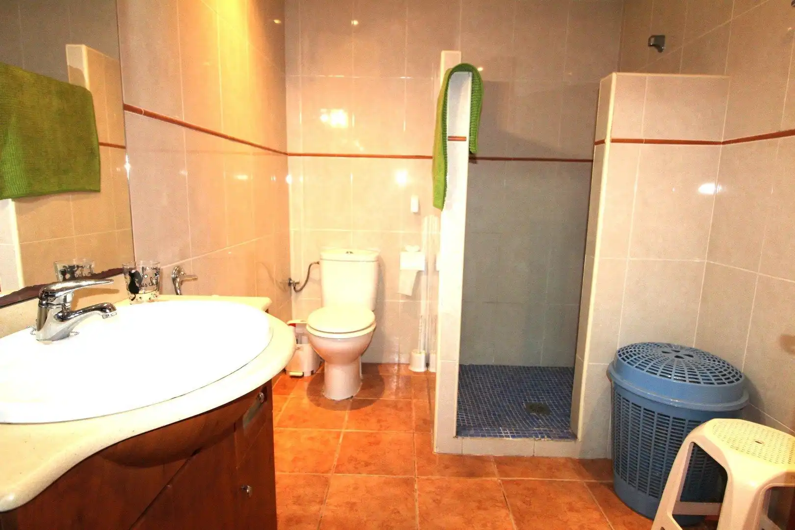 Baño de Casa o chalet en venta en Lloret de Mar con Calefacción, Terraza y Piscina