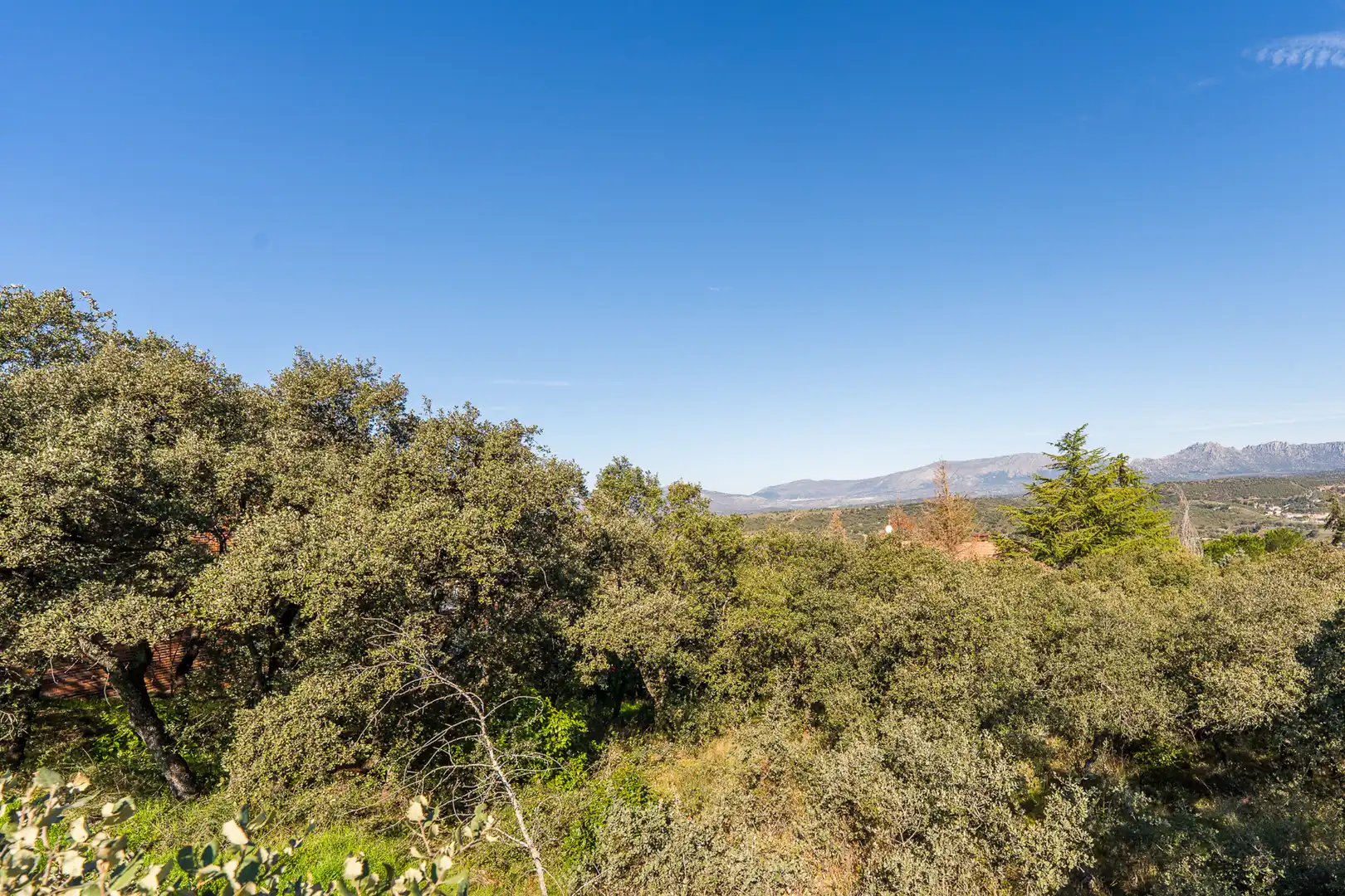 Residencial en venta en Venturada