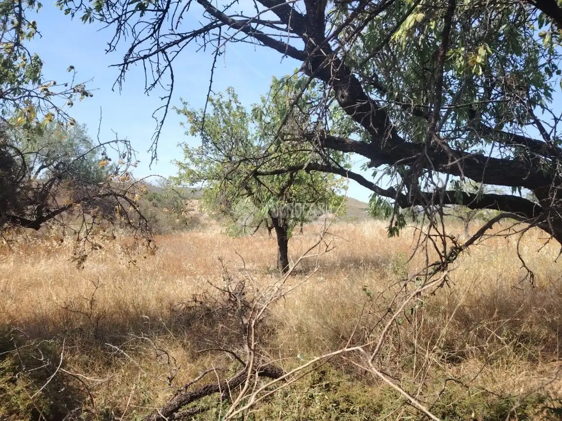 Country homes for sale in Los Gallardos  with Air Conditioner, Private garden and Furnished