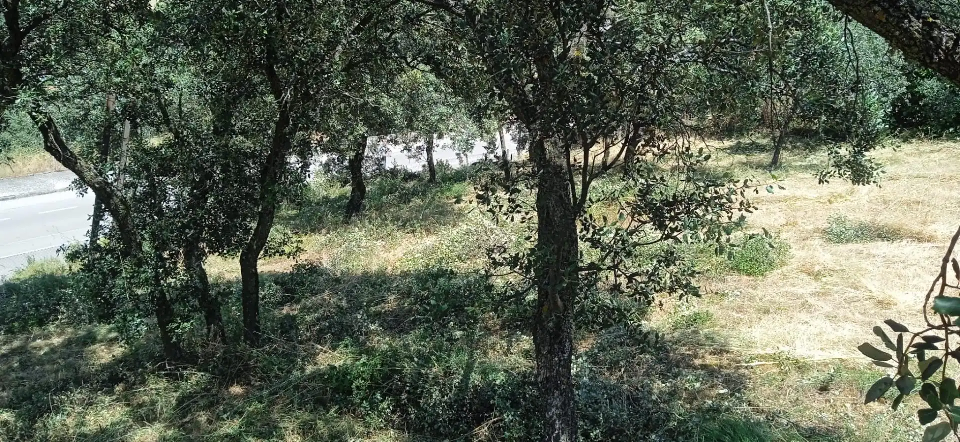 Terreno residenziale in vendita a Avenida el Casar, imagen 12