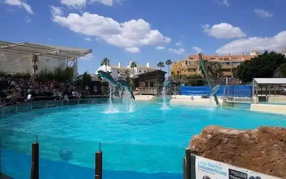 Mini appartamento con terrazza in affitto a Montealto - Monterrey, imagen 48