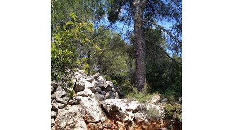 Photo 3 of Residential for sale in Urb Penyal Dels Toçals, 1, Potries, Valencia