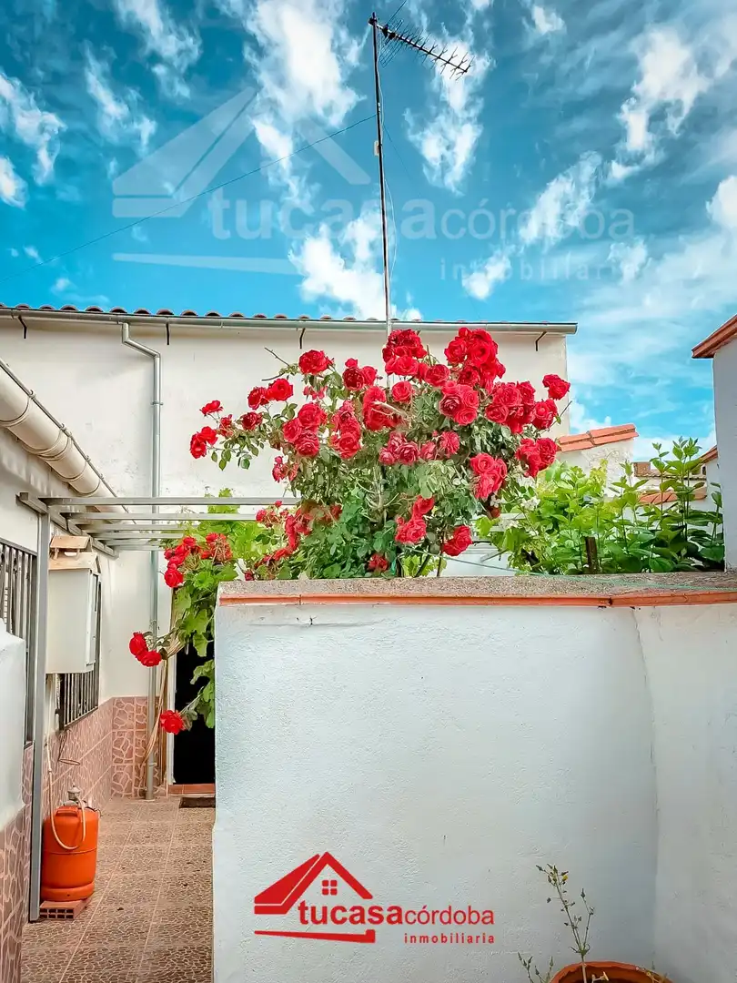 Maison à vendre à Fuente Obejuna, imagen 12
