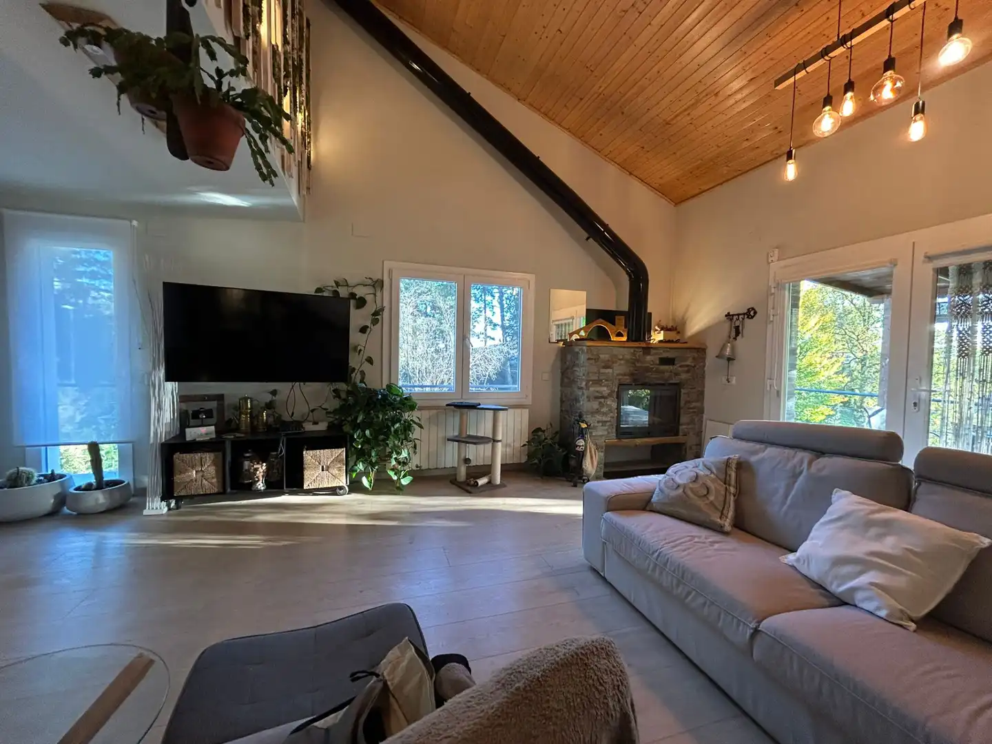 Sala d'estar de Casa o xalet en venda en Camprodon amb Jardí privat, Terrassa i Moblat