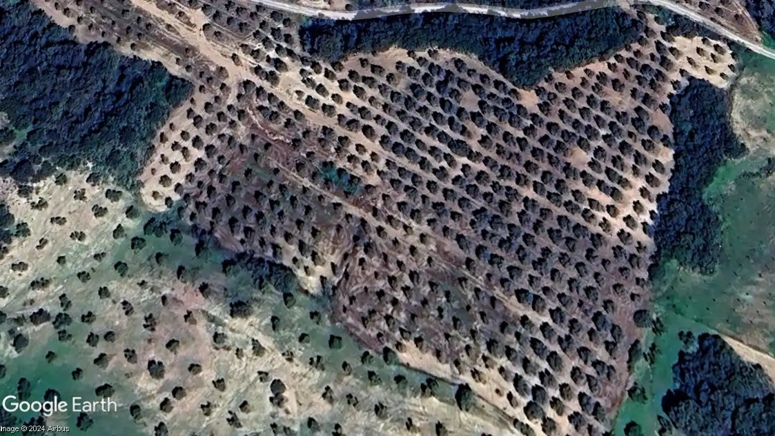 Rural land for sale in Morón de la Frontera, imagen 3