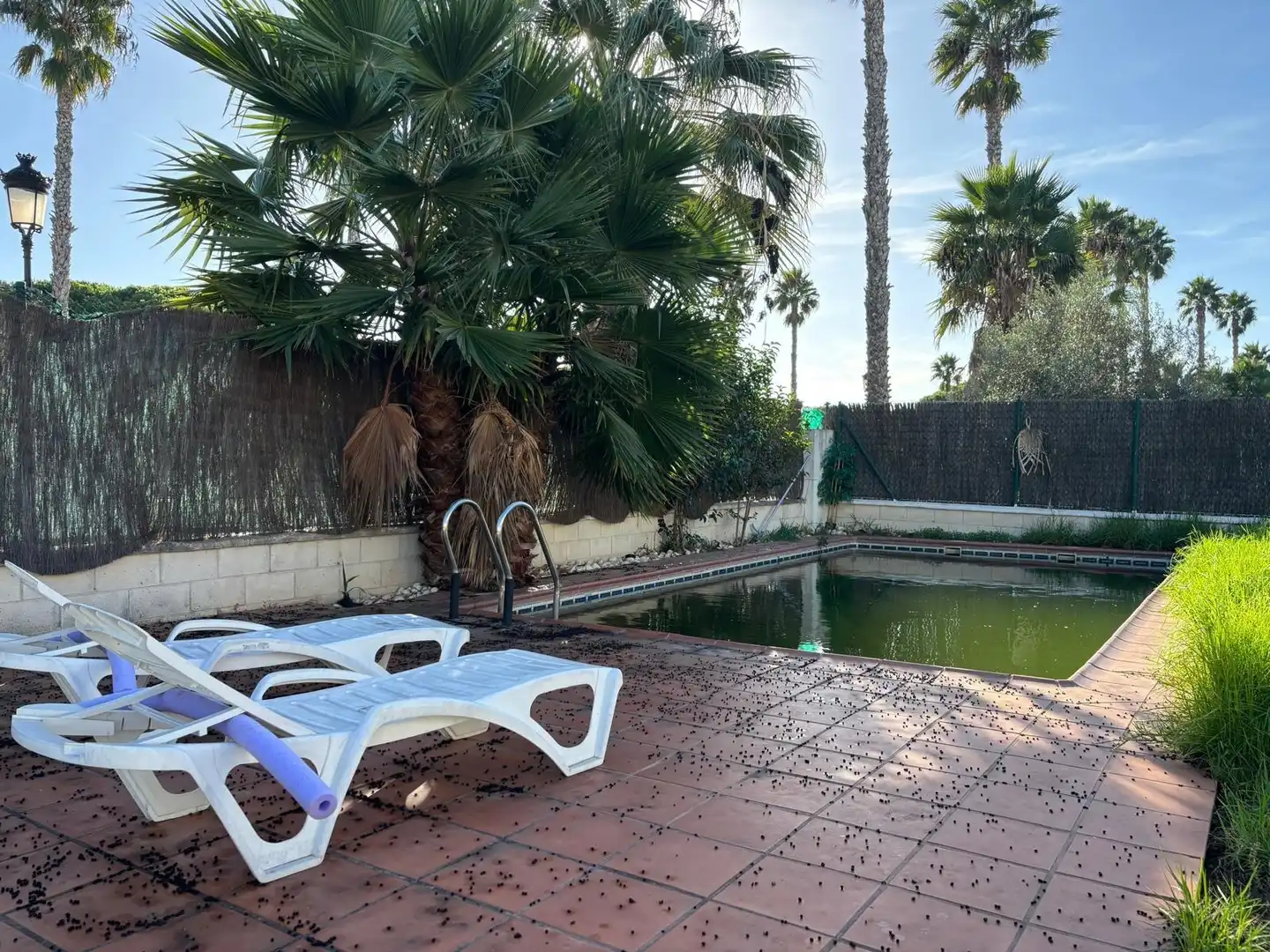 Villa avec piscine à vendre à Roche, imagen 34