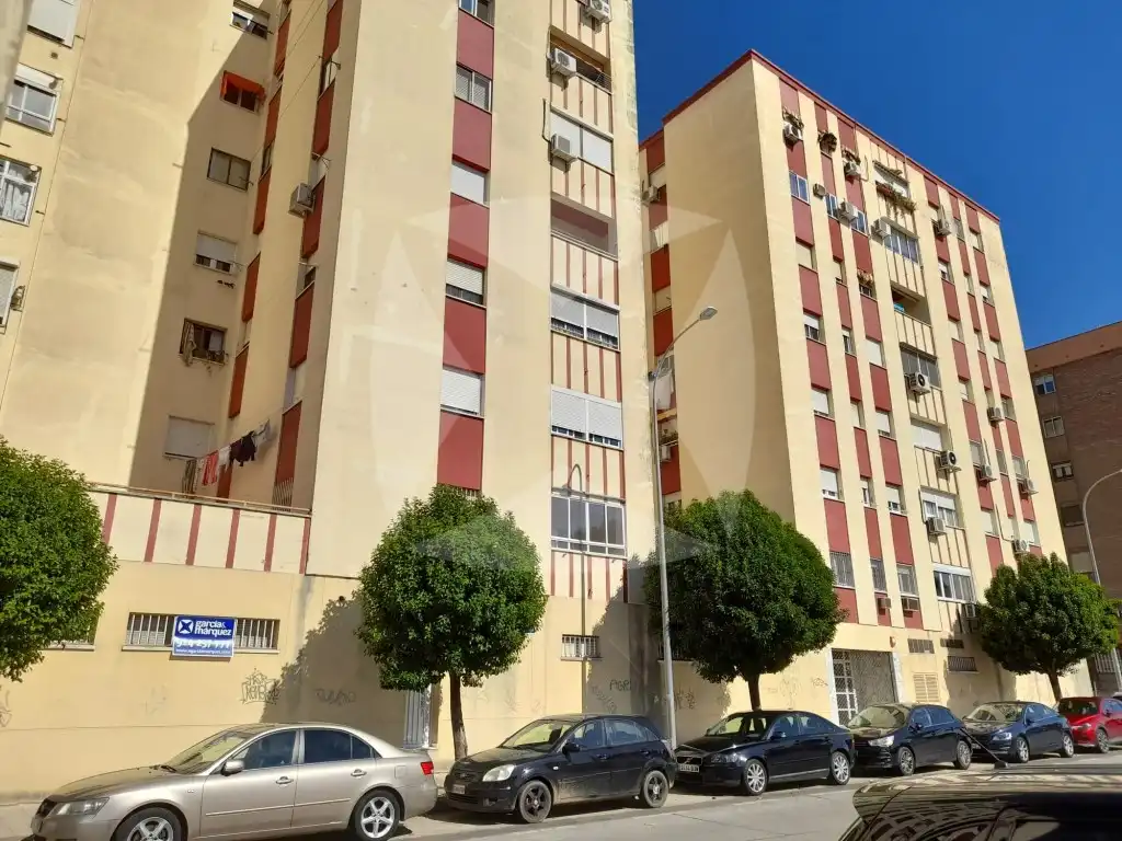 Local comercial en alquiler en Calle Hermanos Maristas, imagen 17