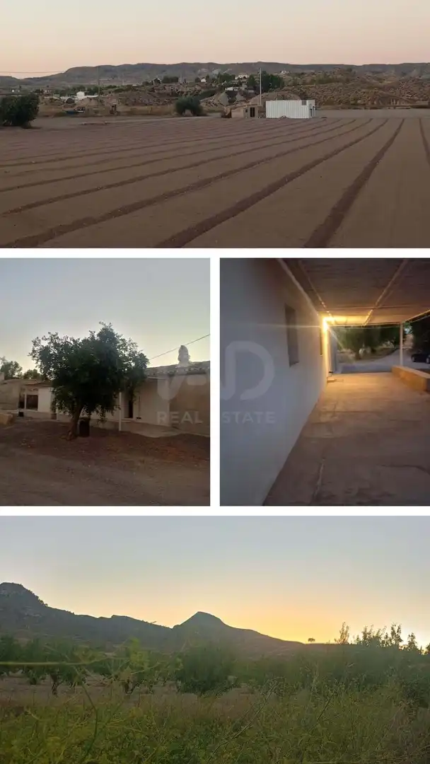 Exterior view of Country homes for sale in Lorca