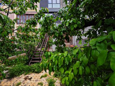 Wohnung mit Garten zum Verkauf in Carretera de Vic  - Remei