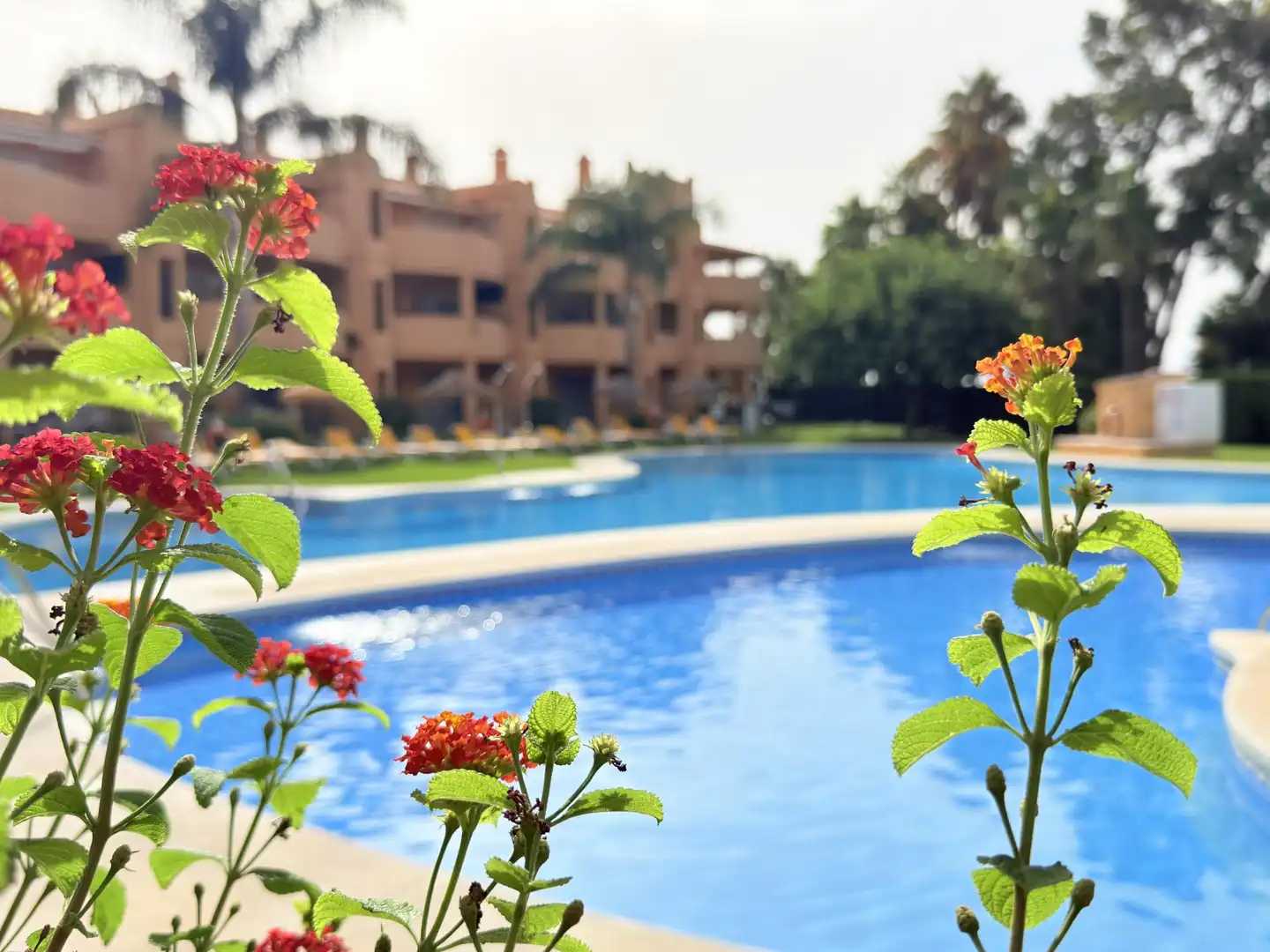 Apartamento con terraza en venta en 26 Calle Don José de Orbaneja #Urb. El Portón, 7, imagen 44