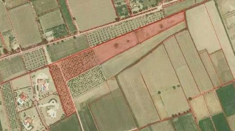 Photo 5 of Land for sale in Florida Baja, Alicante / Alacant